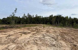DEE MOORE Rd, Selmer, TN 38375