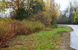 0.0 Stafford Road, Plattsburgh, NY 12901