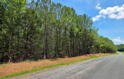 64a Chestnut Ridge Road, Mccormick, SC 29835