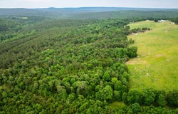 560 Peels Ln, Concord, AR 72523