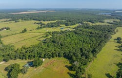 Heard Sylvester Road, Washington, LA 70589