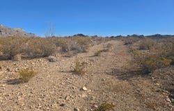 21508 Caliche Rd, Terlingua, TX 79852