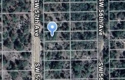 SW 57TH Avenue, INTERLACHEN, FL 32148