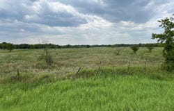 53+ Fm-513, Campbell, TX 75422