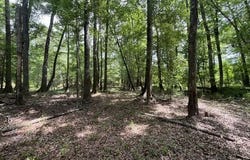 23.74 Acre Highway 57, Perkinston, MS 39573