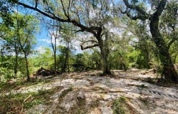 Karagan Court, Webster, FL 33597