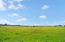 W Farm Rd 22, Walnut Grove, MO 65770