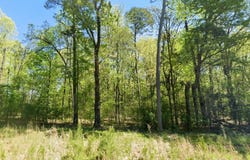 Hempstead 335, Nashville, AR 71852
