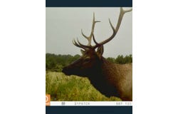 163 CR 402, Lindrith, NM 87029