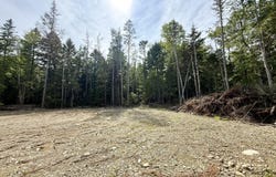 US-1 lot: 51, Perry, ME 04667