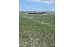 4686 Road 37, Yoder, WY 82244