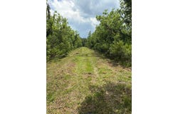 459 COUNTY ROAD 2006 E, BUNNELL, FL 32110