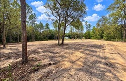 NE 88TH Lane, BRONSON, FL 32621