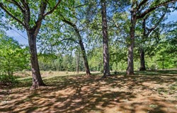 283 Constant Lane, Columbus, NC 28722
