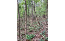 Ashley Road, Brandon, MS 39042