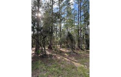 207 OCALA Court, GEORGETOWN, FL 32139