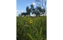 12864 Arkansas Road, Colony, KS 66015