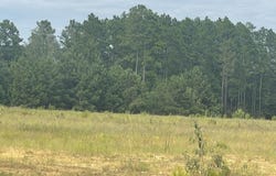 7 ac +- Evelyn Gandy Parkway, Petal, MS 39465