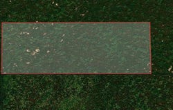 Lost Hills, CA 93249