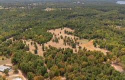 Silk Tree Rd, Gilmer, TX 75645