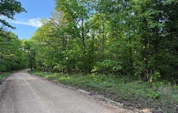 Tract 5 Carter 327, Ellsinore, MO 63937