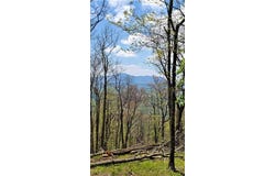 Chappell Farm Road lot: 2, Banner Elk, NC 28604