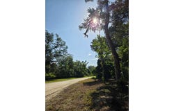 123 NE 278th Ave, Old Town, FL 32680