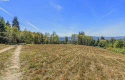 Old Tree Farm Dr, Longview, WA 98632