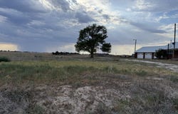 320 County Road 173, Muleshoe, TX 79347
