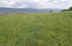 Bolton Hollow Rd, Harrogate, TN 37752