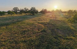 316 Main Loop, Waelder, TX 78959