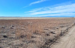 Avondale, CO 81022
