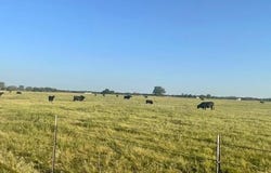 CR 358, Gause, TX 77857
