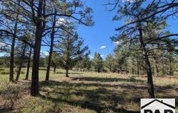 13115 W Silver Spruce Cir, Weston, CO 81091