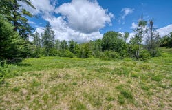5971 CLEARVIEW CT, Hazelhurst, WI 54531