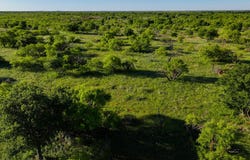Symank Road, Megargel, TX 76370
