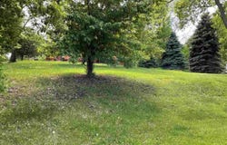 1624 Riverview Road, St. Peter, MN 56082