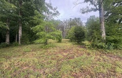 Johnson Hollow Rd, STEWART, TN 37175