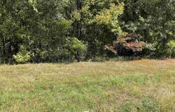 HWY 65, Choctaw, AR 72031