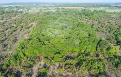 T.B.D. CR 241, Clyde, TX 79510