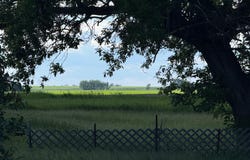 305 Roberts Street, Webster, ND 58382