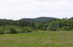 VT RT 131, Weathersfield, VT 05030