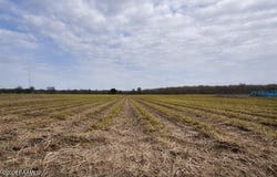 673 Yokley Road lot: 8C, Franklin, LA 70538