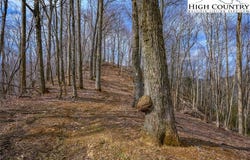 Raspberry Lane, Elk Park, NC 28622