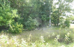 4906 N Clare Avenue, Harrison, MI 48625-0629