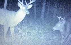 Woodland Drive, Seneca, MO 64865
