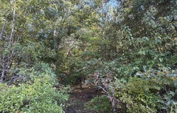 100 Dogwood Glen Drive, Centerville, GA 31028