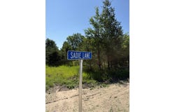 Sadie Ln, Bear Lake, MI 49614