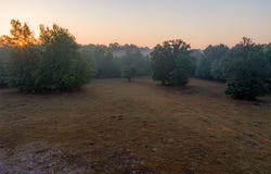 CR 1002 N, Winnsboro, TX 75494