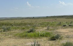 E County Road 48, Shattuck, OK 73858